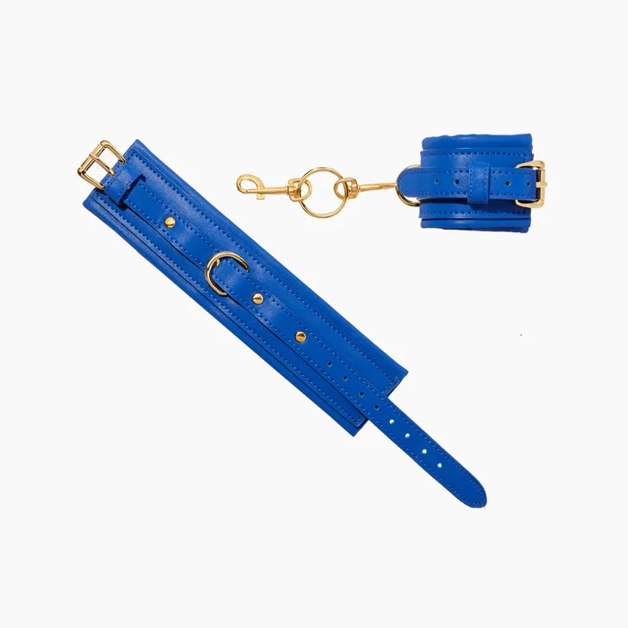 Orion Versatile Restraint Set Unbound Anal